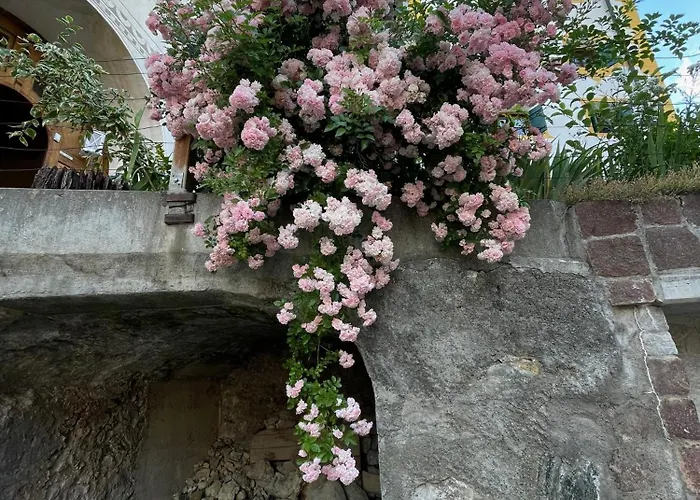 Апартаменты Grosszuegige Sentner Зент