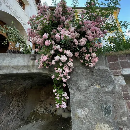 Lejlighed Grosszuegige Sentner Sent